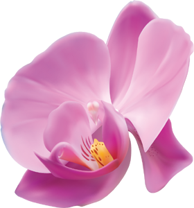 Mobile Fußpflege Behandlung in Neckarsulm